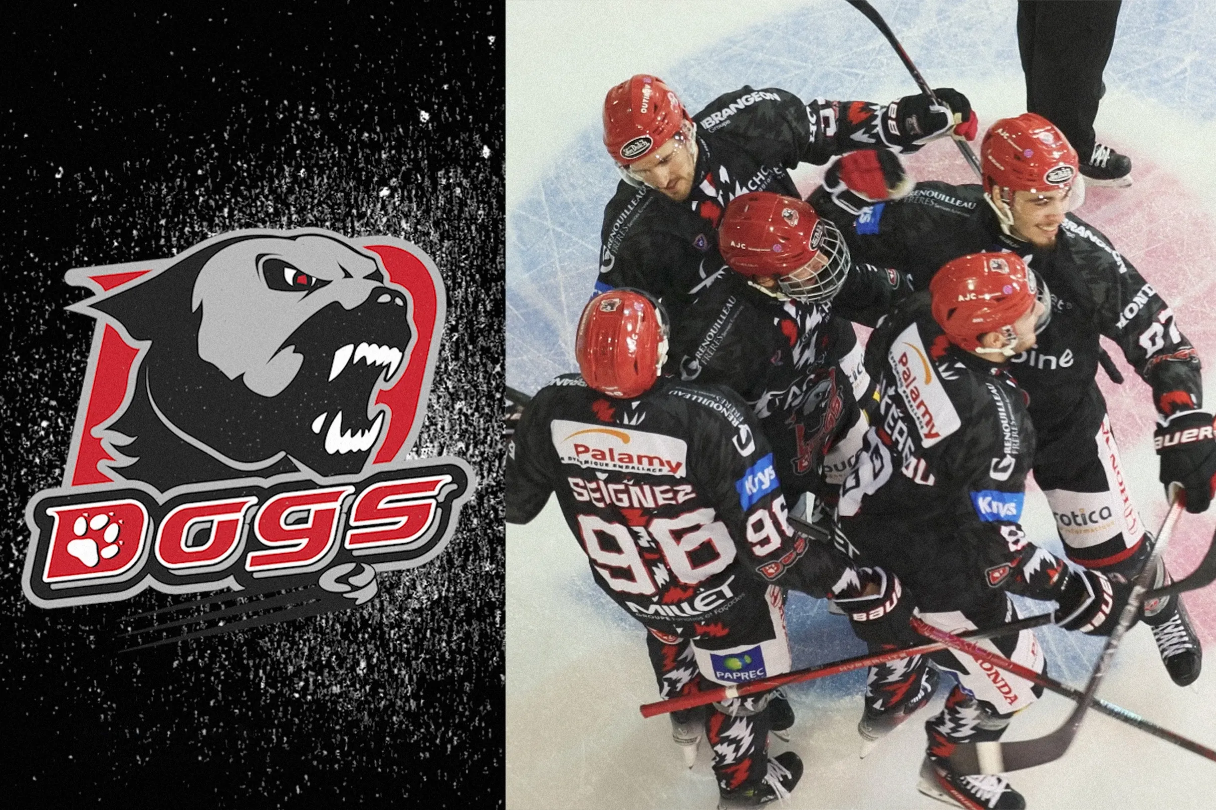 Réalisation vidéo – Les Dogs de Cholet