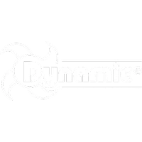 logo dynamic